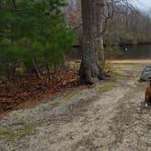 Review photo of Green Falls Campground by Sue B., October 23, 2025