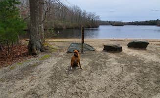 Sue B.'s photo of camping with pets at Green Falls Campground near Mystic, CT