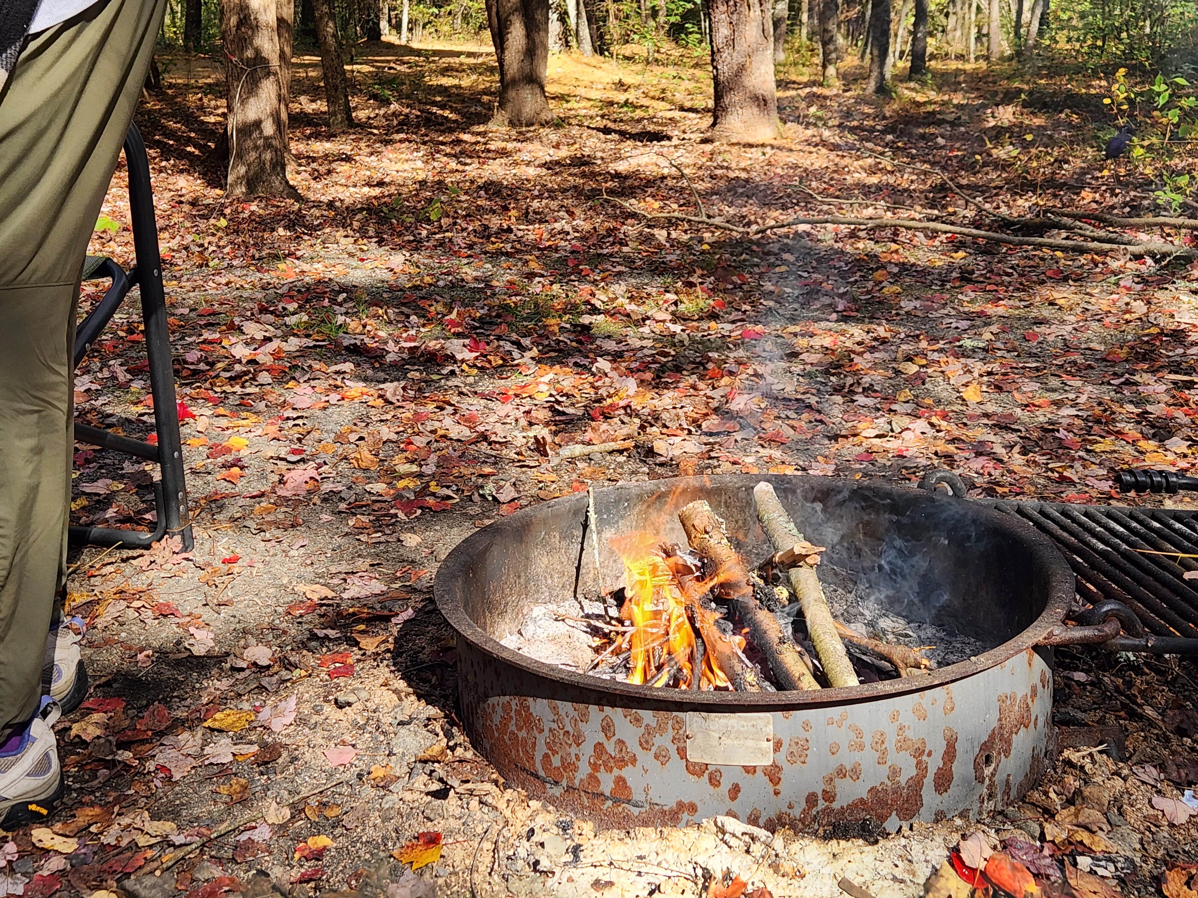 Camper submitted image from Mount Misery Campground - 1