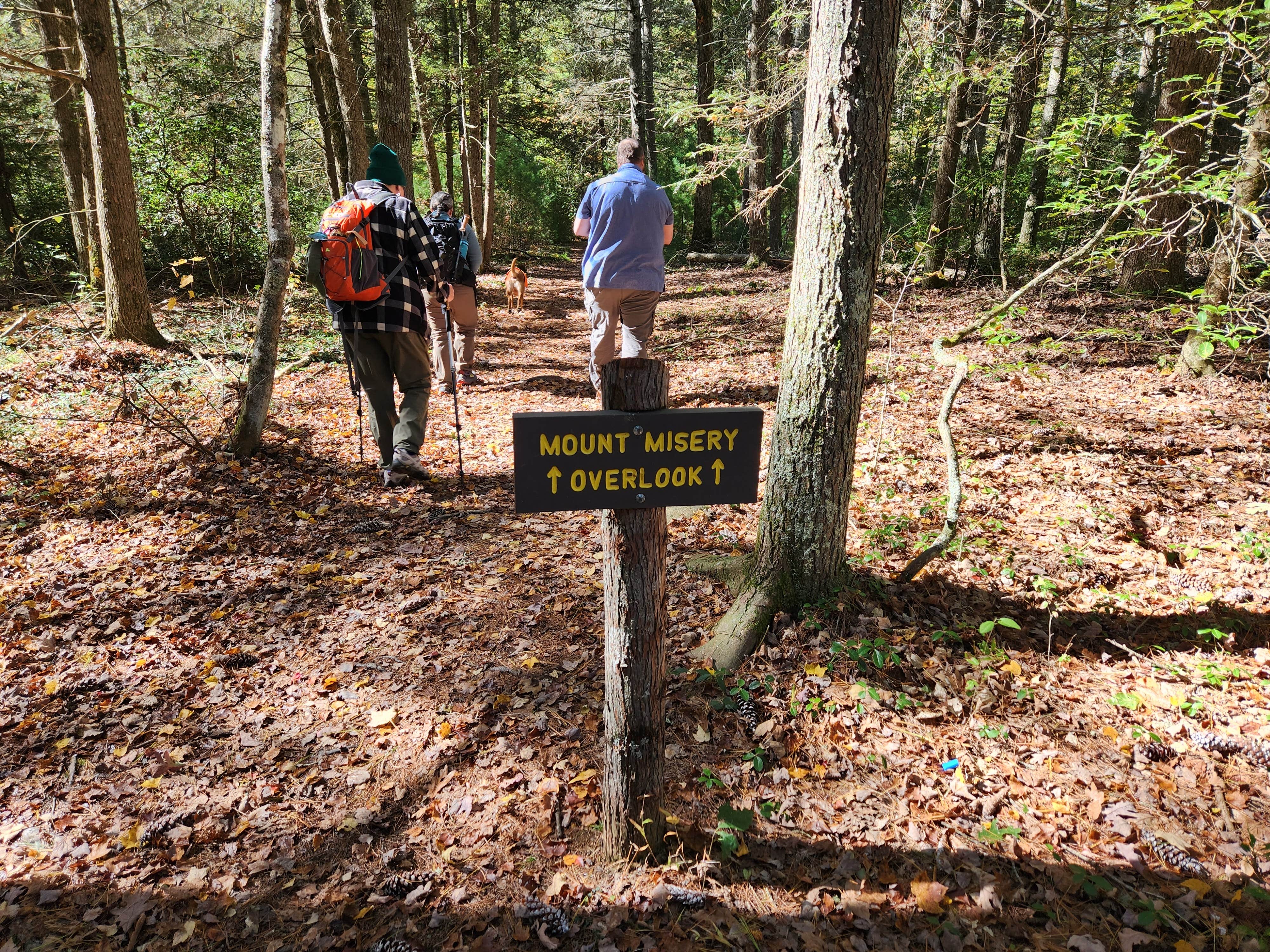 Camper submitted image from Mount Misery Campground - 2