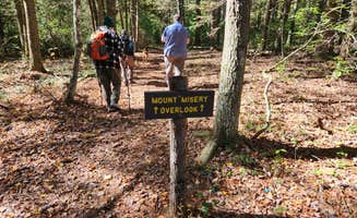 Sue B.'s photo of camping with pets at Mount Misery Campground near Mystic, CT