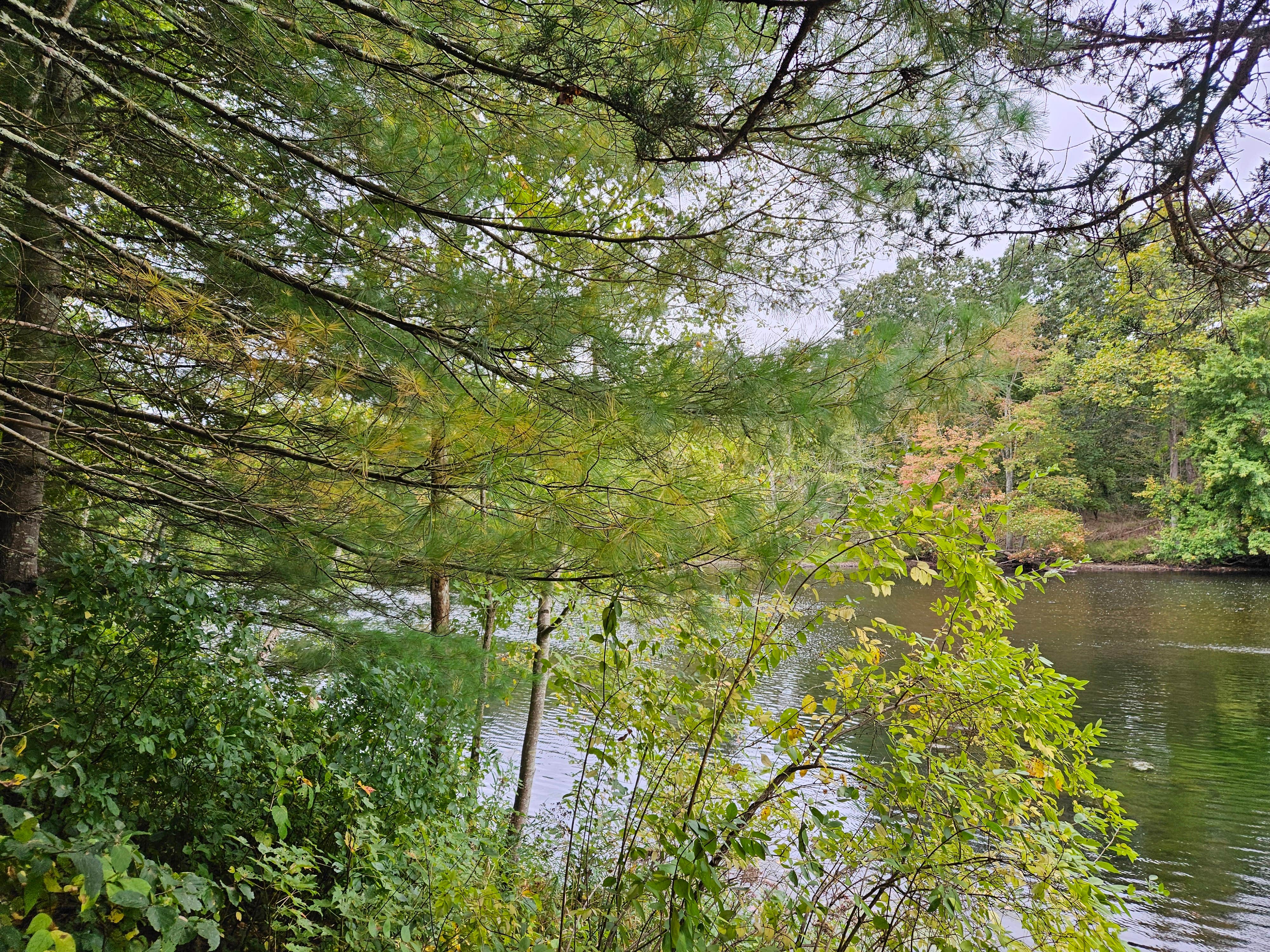 Camper-submitted photo at Salt Rock Campground near Lebanon, CT