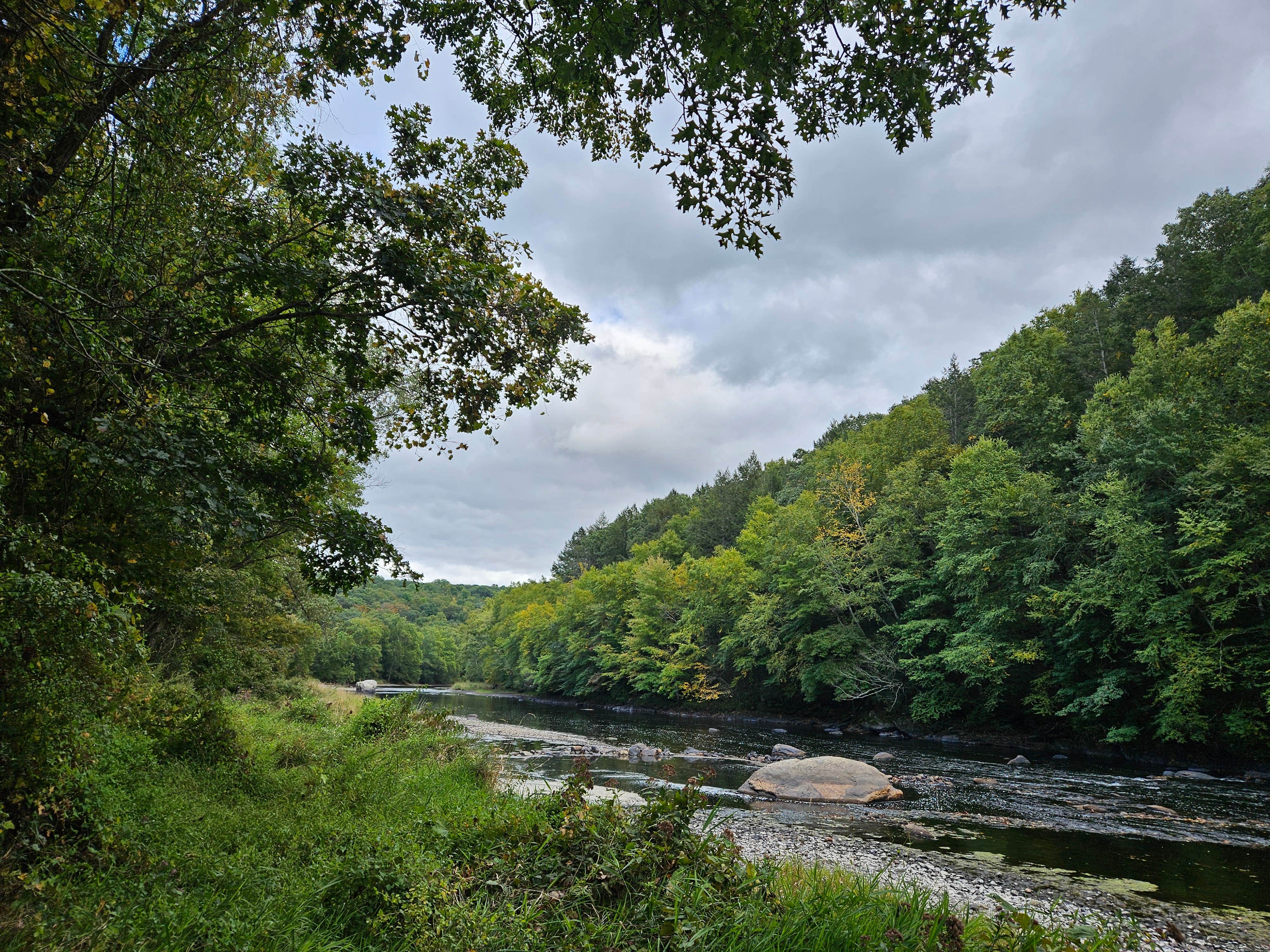 Camper submitted image from Salt Rock State Campground - 3