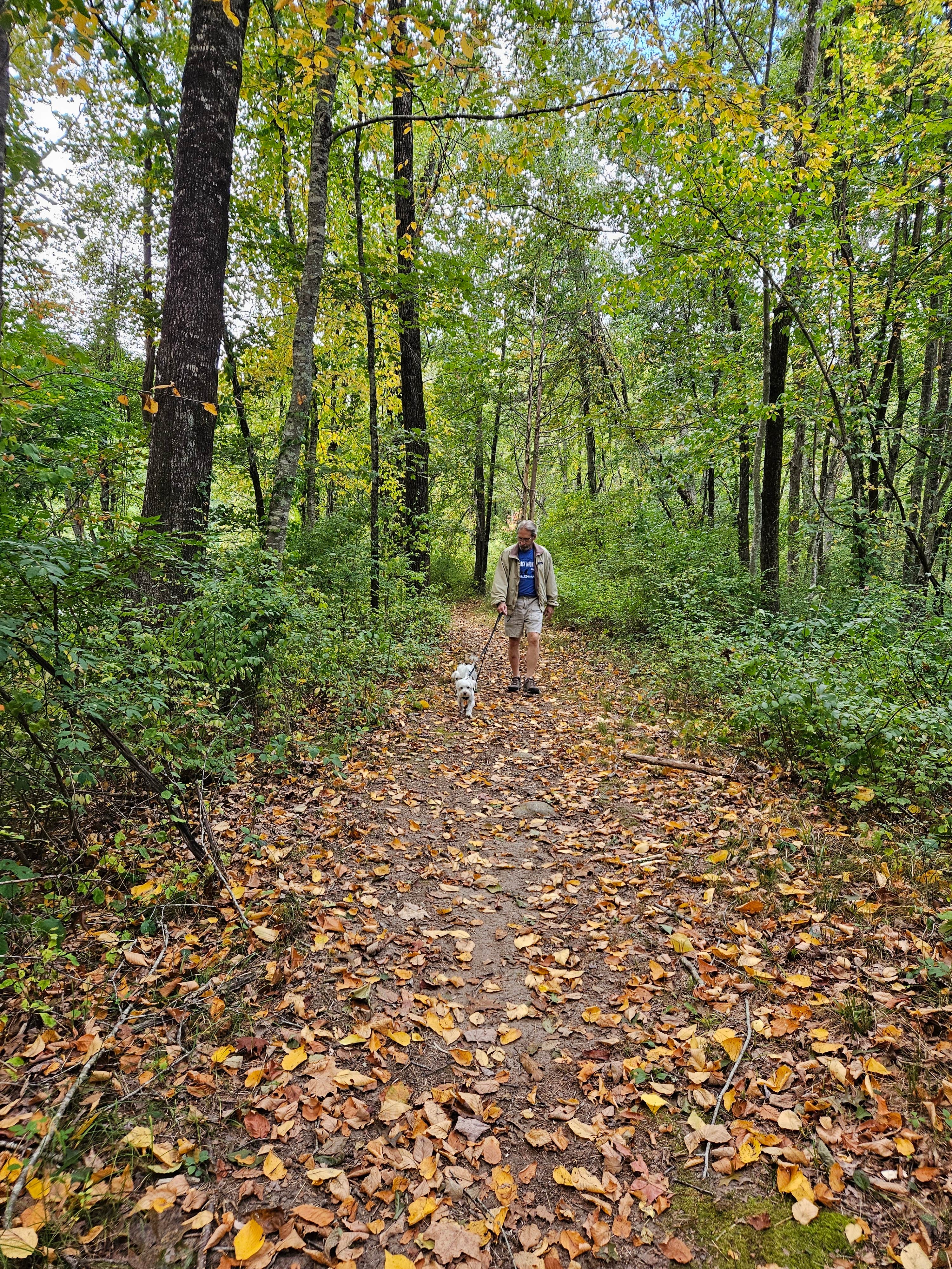 Camper submitted image from Salt Rock State Campground - 5