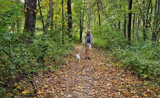Kathy T.'s photo of camping with pets at Salt Rock Campground near Mystic, CT