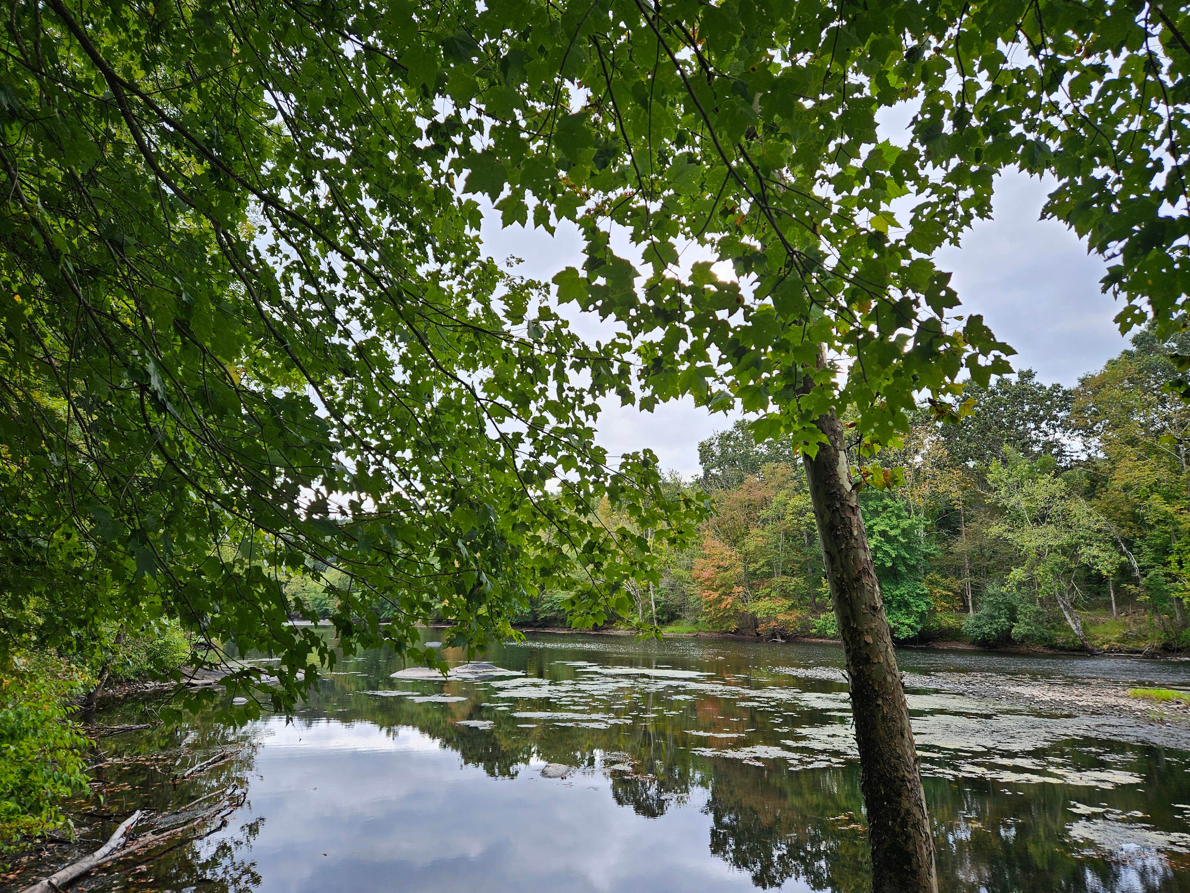 Camper-submitted photo at Salt Rock Campground near Lebanon, CT