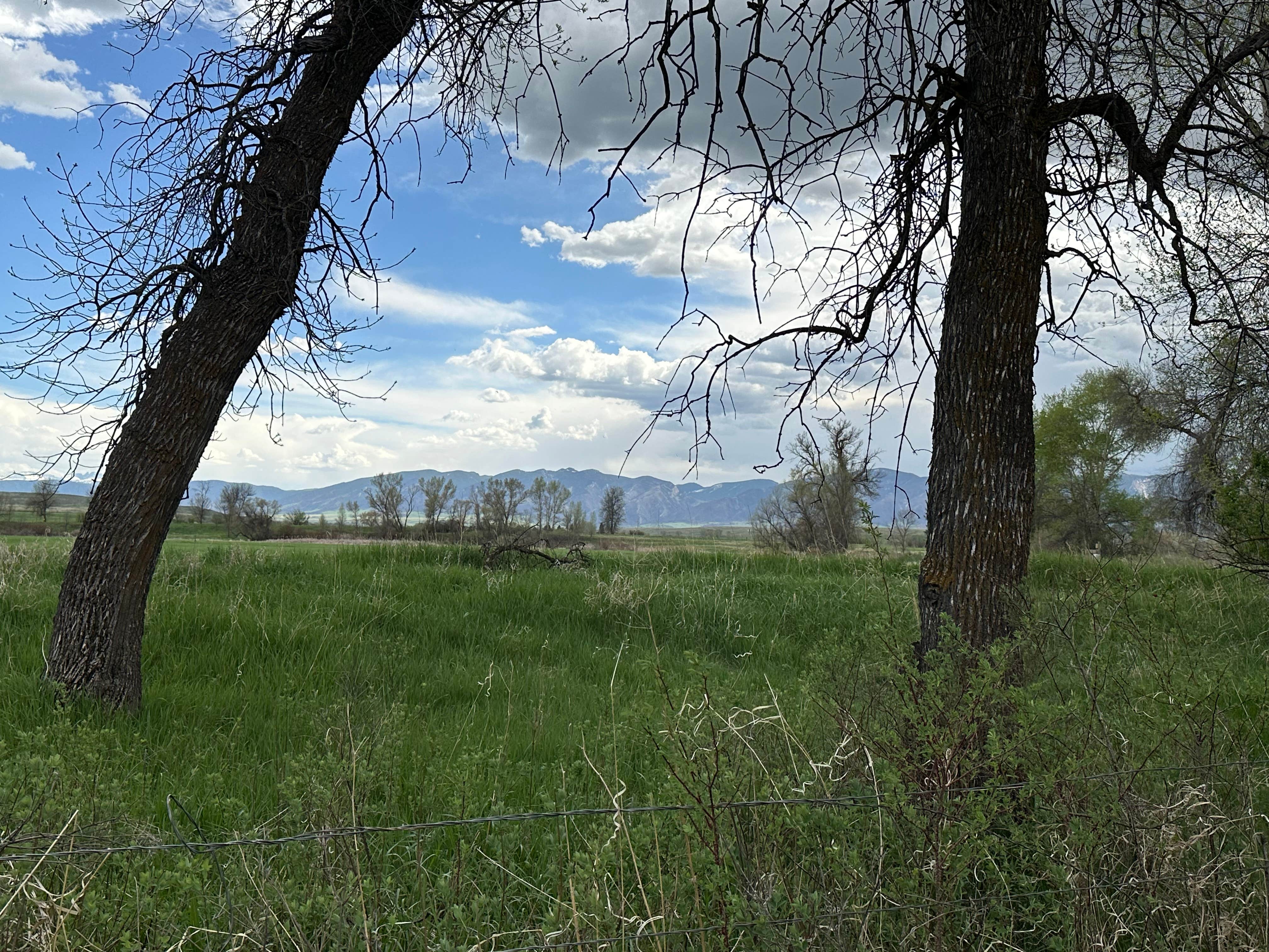 Camper-submitted photo at Connor Battlefield State Historic Site near Dayton, WY