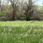 Review photo of Connor Battlefield State Historic Site by Lisa A., May 12, 2025