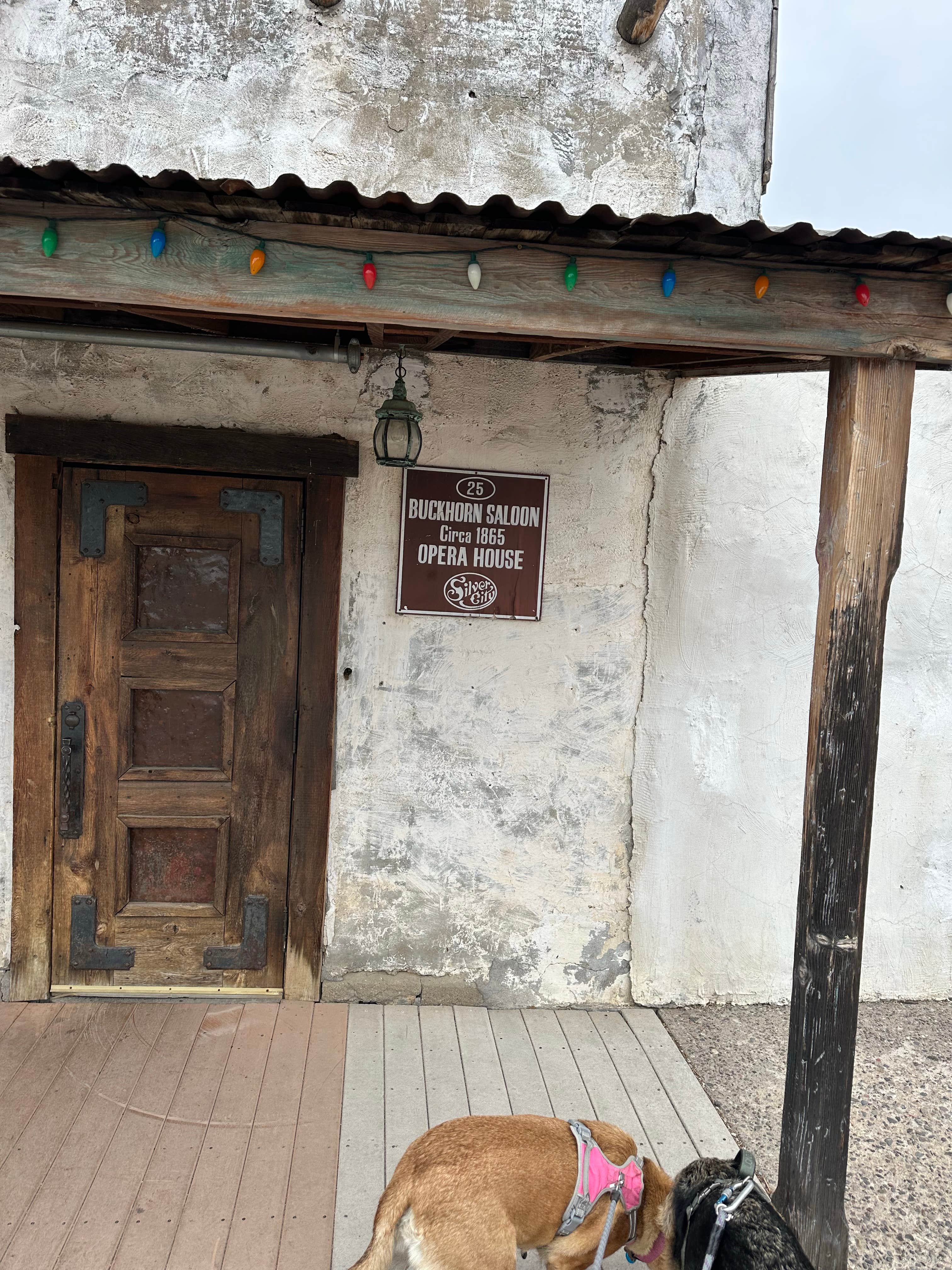 Camper-submitted photo at Continental Divide Park & Camp near Hanover, NM