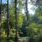 Review photo of Cook Creek by Mariah W., June 16, 2025