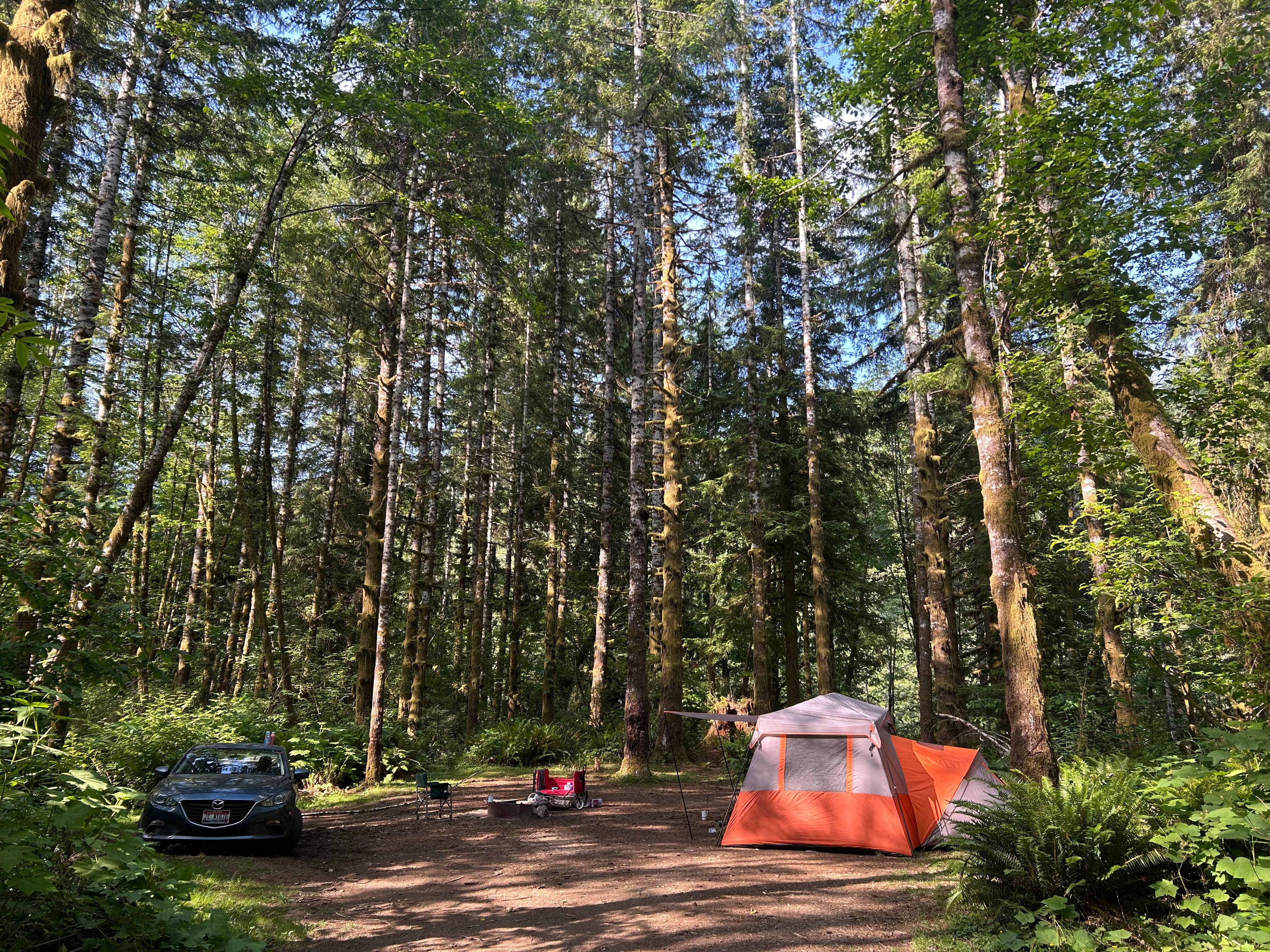 Camper-submitted photo at Cook Creek near Tillamook State Forest