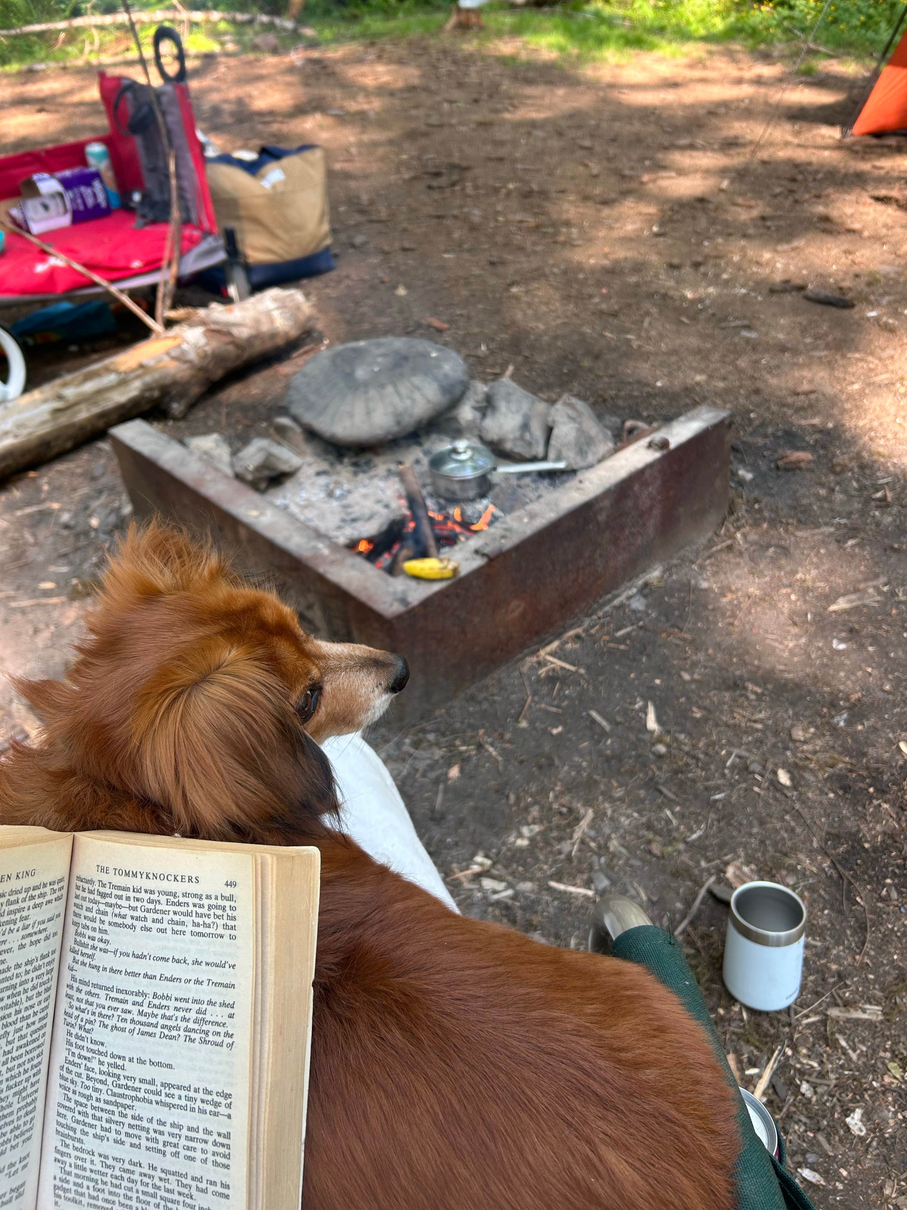 Camper-submitted photo at Cook Creek near Ilwaco, WA