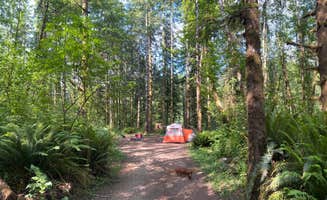 Mariah W.'s photo of camping with pets at Cook Creek near Cannon Beach, OR