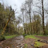 Review photo of Cook Creek by Alex P., April 17, 2026