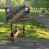 Review photo of Cook Forest State Park Campground & Cabins by paul K., June 1, 2026