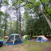 Review photo of Cook Forest State Park Campground by Casey L., June 8, 2025