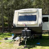 Review photo of Cook Forest State Park Campground & Cabins by paul K., June 1, 2026
