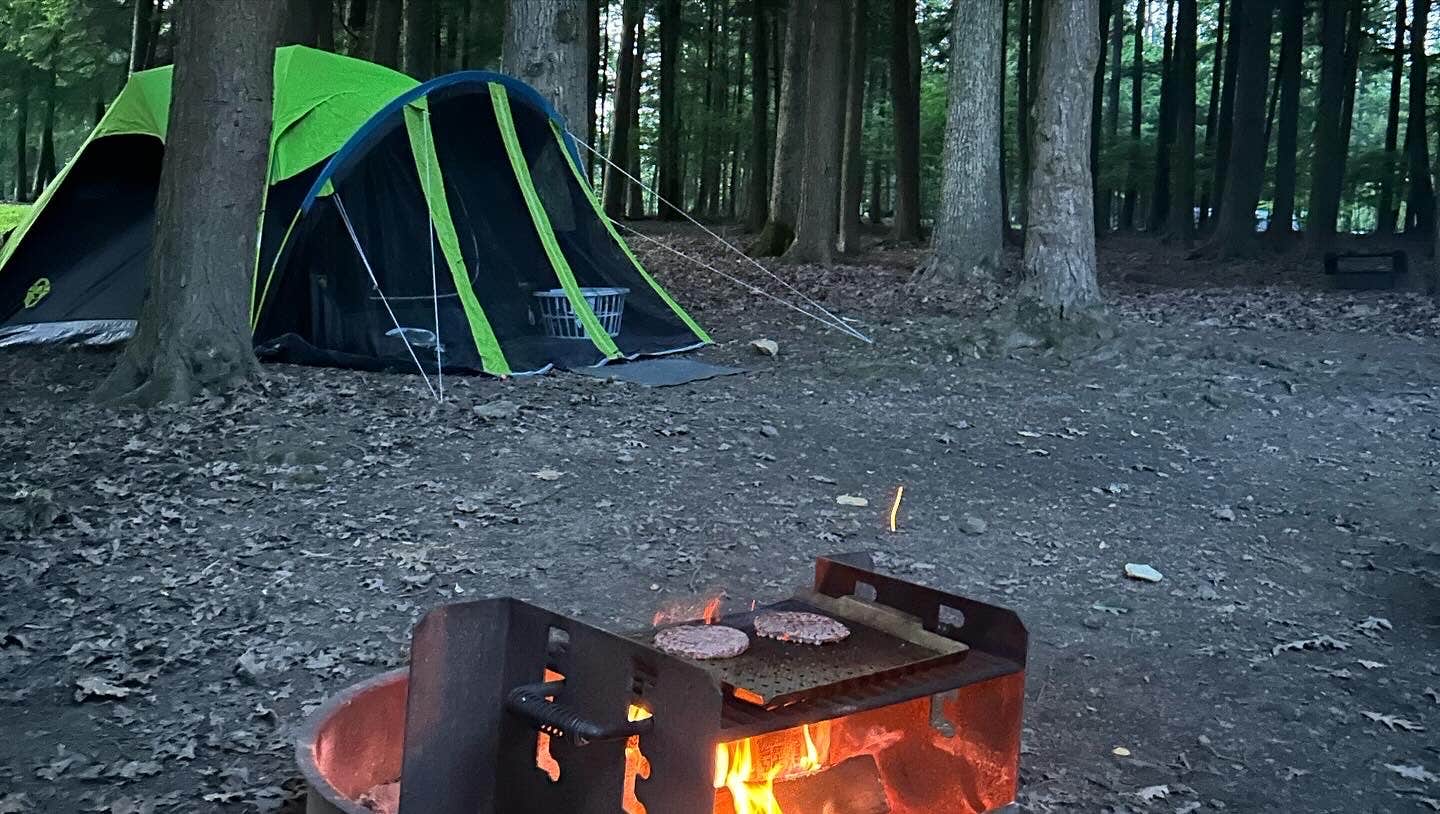 Sienna L.'s photo at Cook Forest State Park Campground & Cabins near Marienville, PA