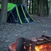 Review photo of Cook Forest State Park Campground & Cabins by Sienna L., July 22, 2025