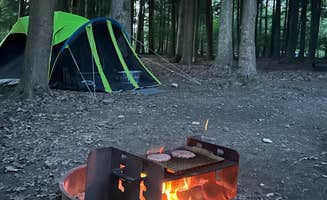 Sienna L.'s photo at Cook Forest State Park Campground & Cabins near Shippenville, PA