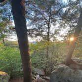 Review photo of Cook Forest State Park Campground & Cabins by Sienna L., July 22, 2025