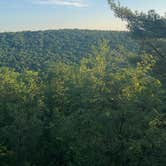 Review photo of Cook Forest State Park Campground & Cabins by Sienna L., July 22, 2025