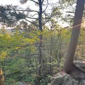 Review photo of Cook Forest State Park Campground & Cabins by Sienna L., July 22, 2025