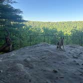Review photo of Cook Forest State Park Campground & Cabins by paul K., June 1, 2026