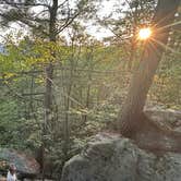 Review photo of Cook Forest State Park Campground & Cabins by Sienna L., July 22, 2025