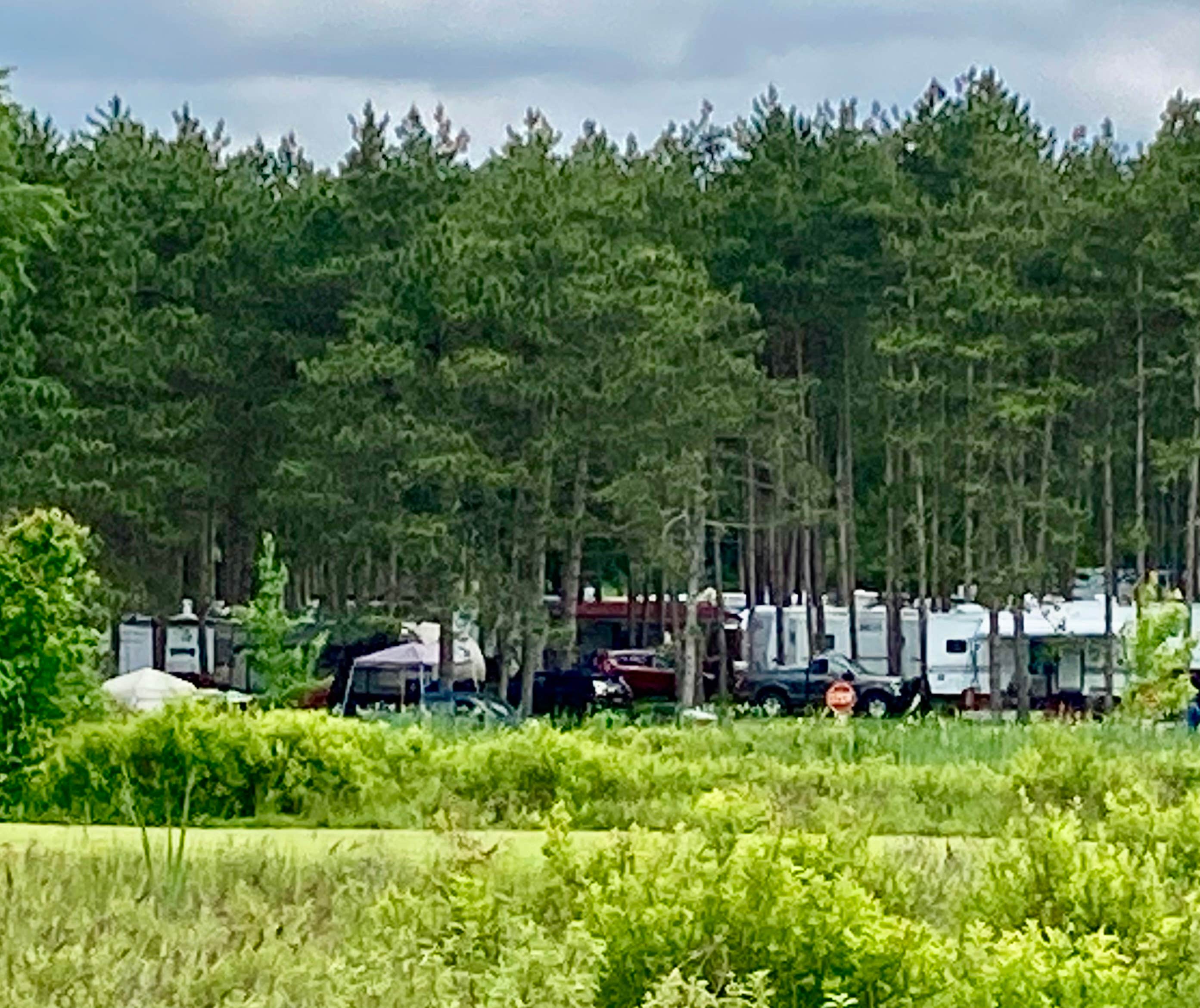 Camper-submitted photo at Chenango County Cook Park near Killawog, NY