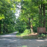 Review photo of Chenango County Cook Park by Janet R., June 20, 2024