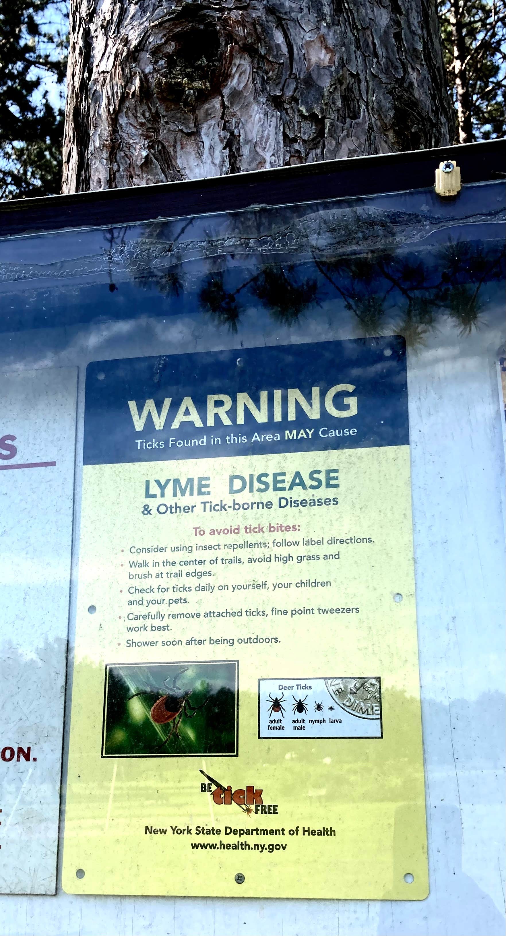 Camper-submitted photo at Chenango County Cook Park near Killawog, NY