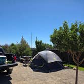 Review photo of Cool Sunshine RV Park by Dana D., June 21, 2026