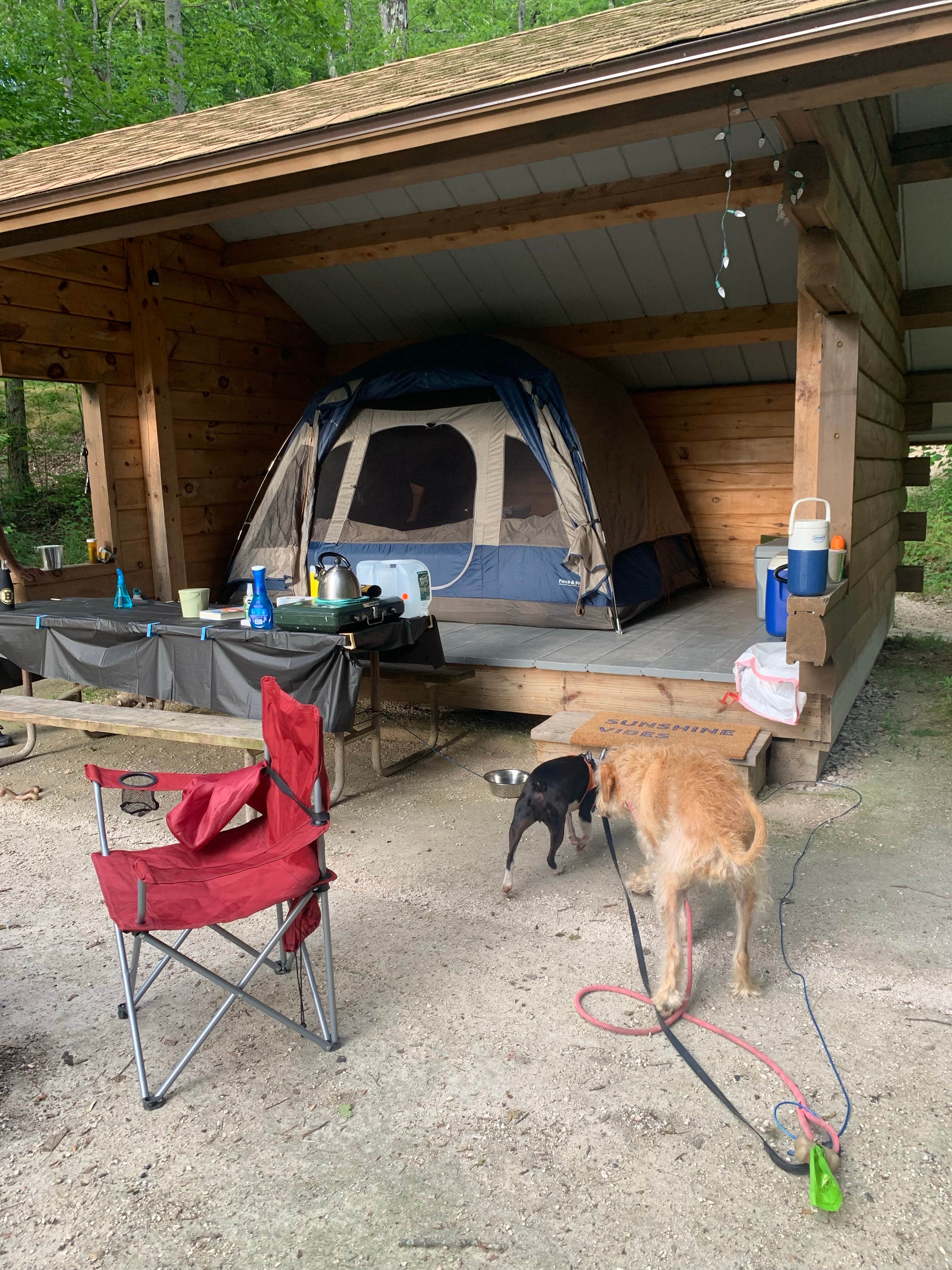Camper submitted image from Coolidge State Park Campground Vermont - 1