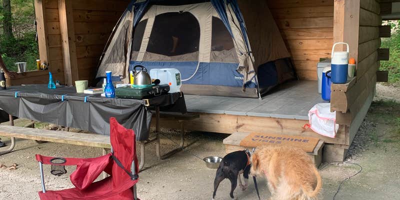 Camper submitted image from Coolidge State Park Campground Vermont
