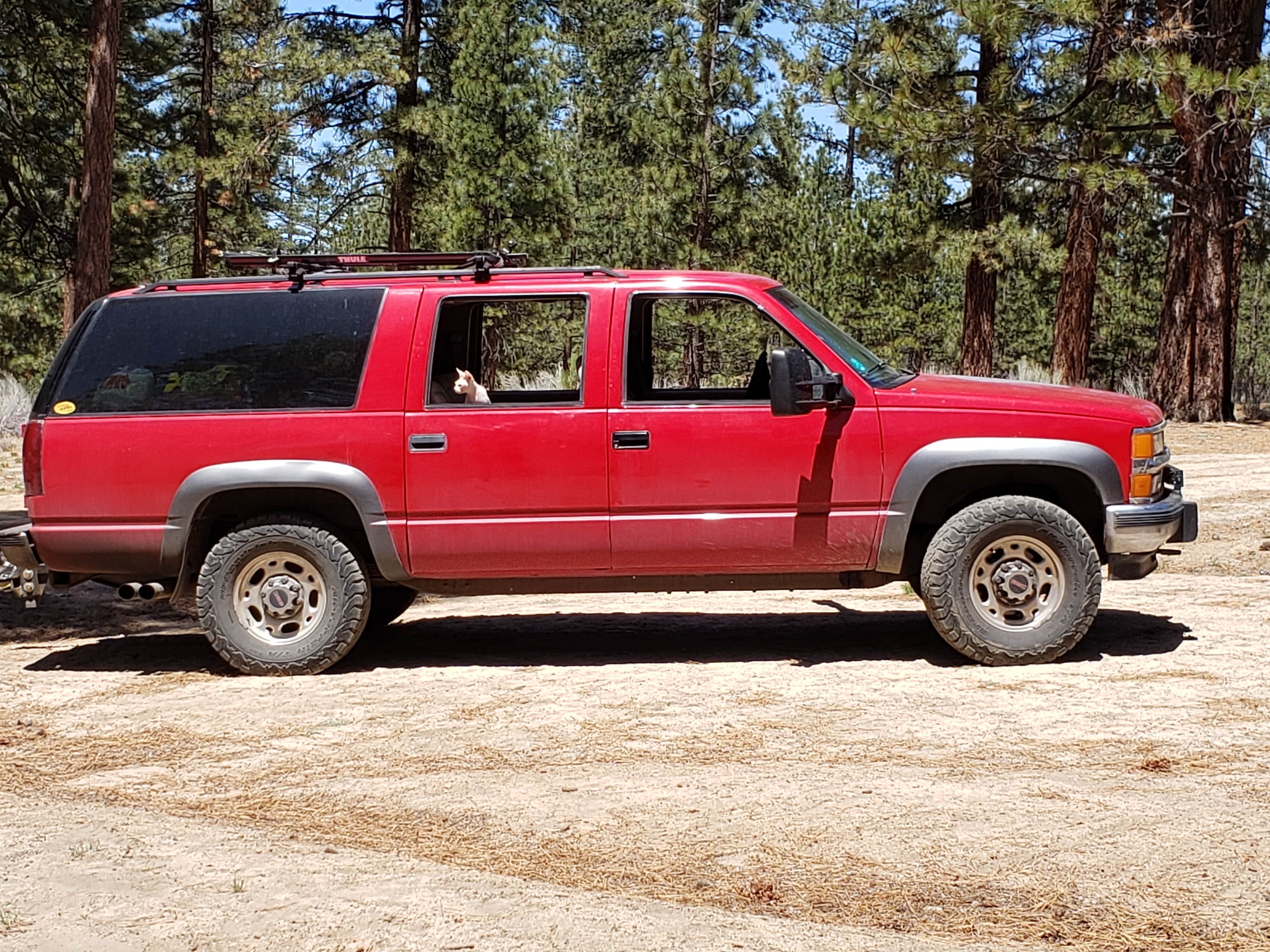 Camper-submitted photo at Coon Creek Yellow Post near Big Bear Lake, CA