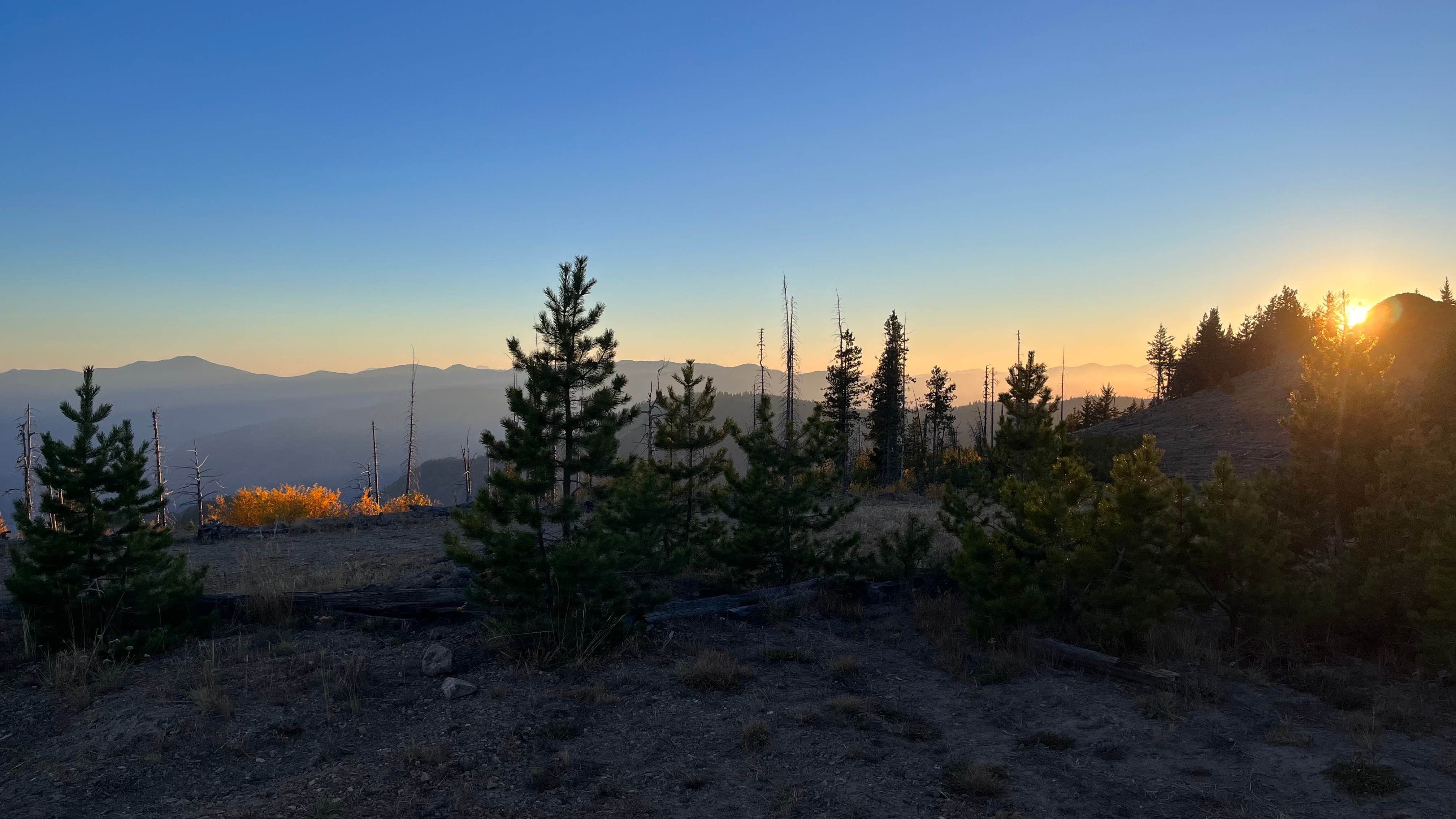 Camper submitted image from Cooper Mnt Rd Dispersed Camping - 1