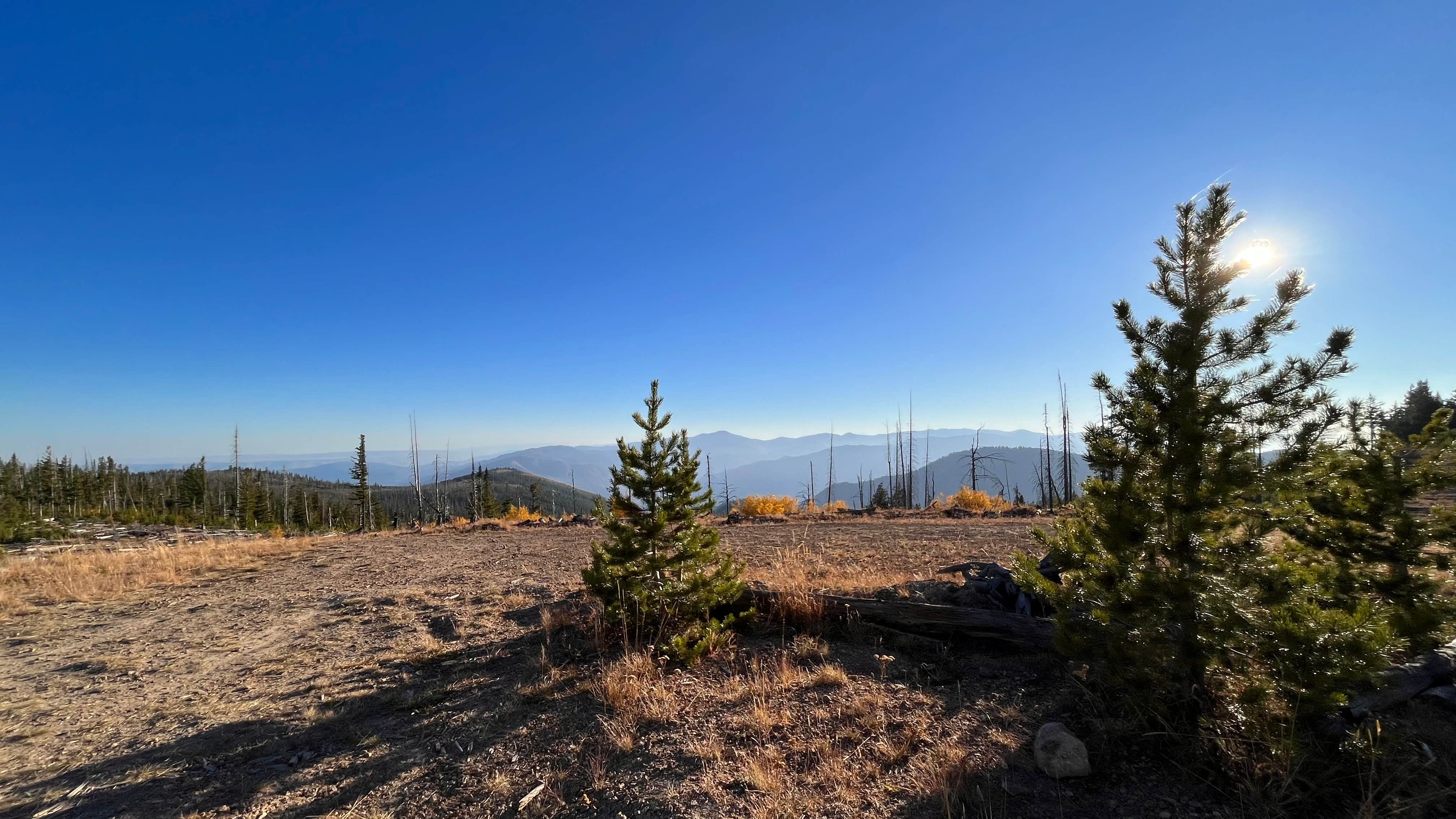 Brett B.'s photo of a dispersed camping area at Cooper Mnt Rd Dispersed Camping near Lake Chelan National Recreation Area
