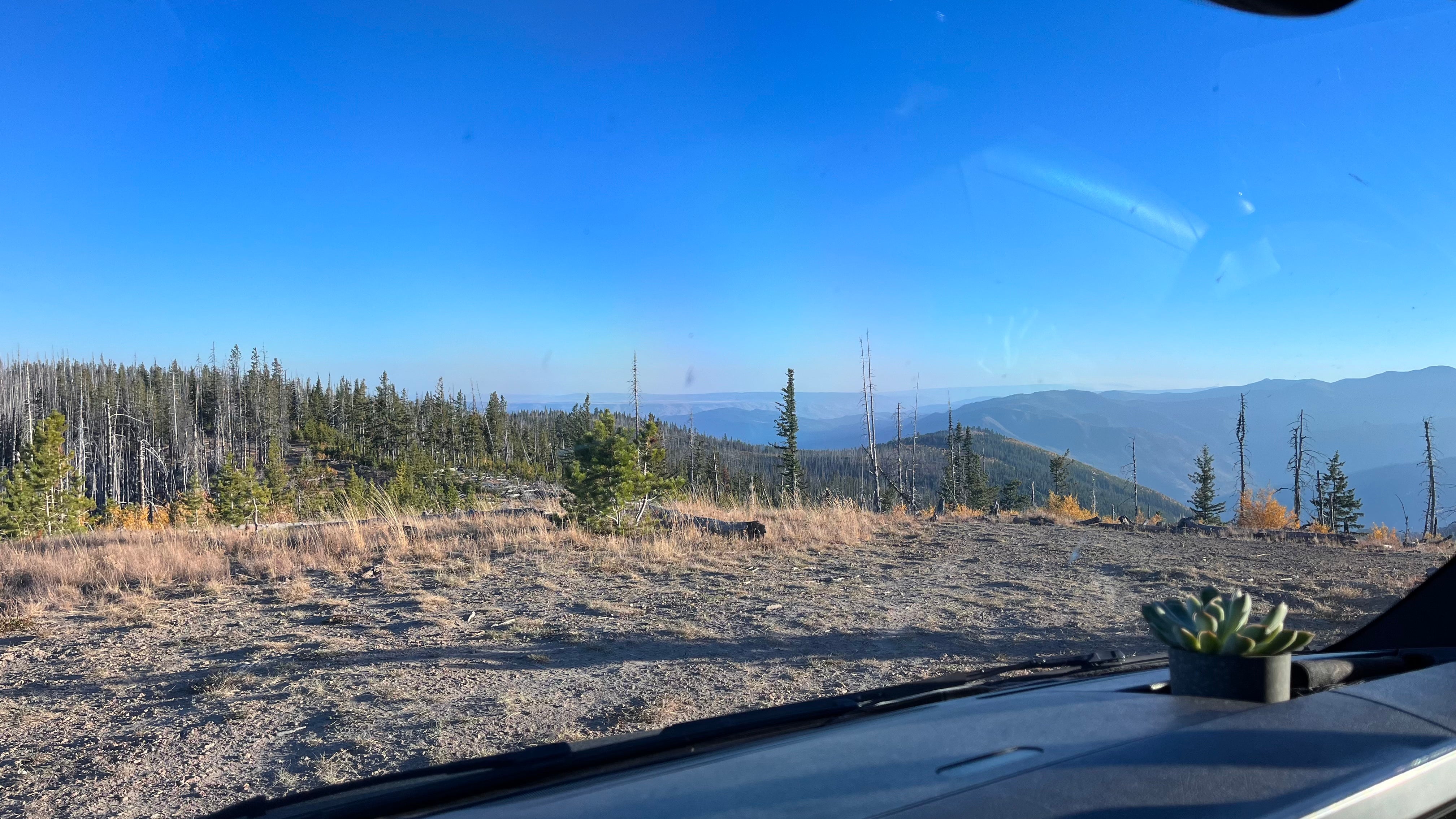Camper submitted image from Cooper Mnt Rd Dispersed Camping - 4