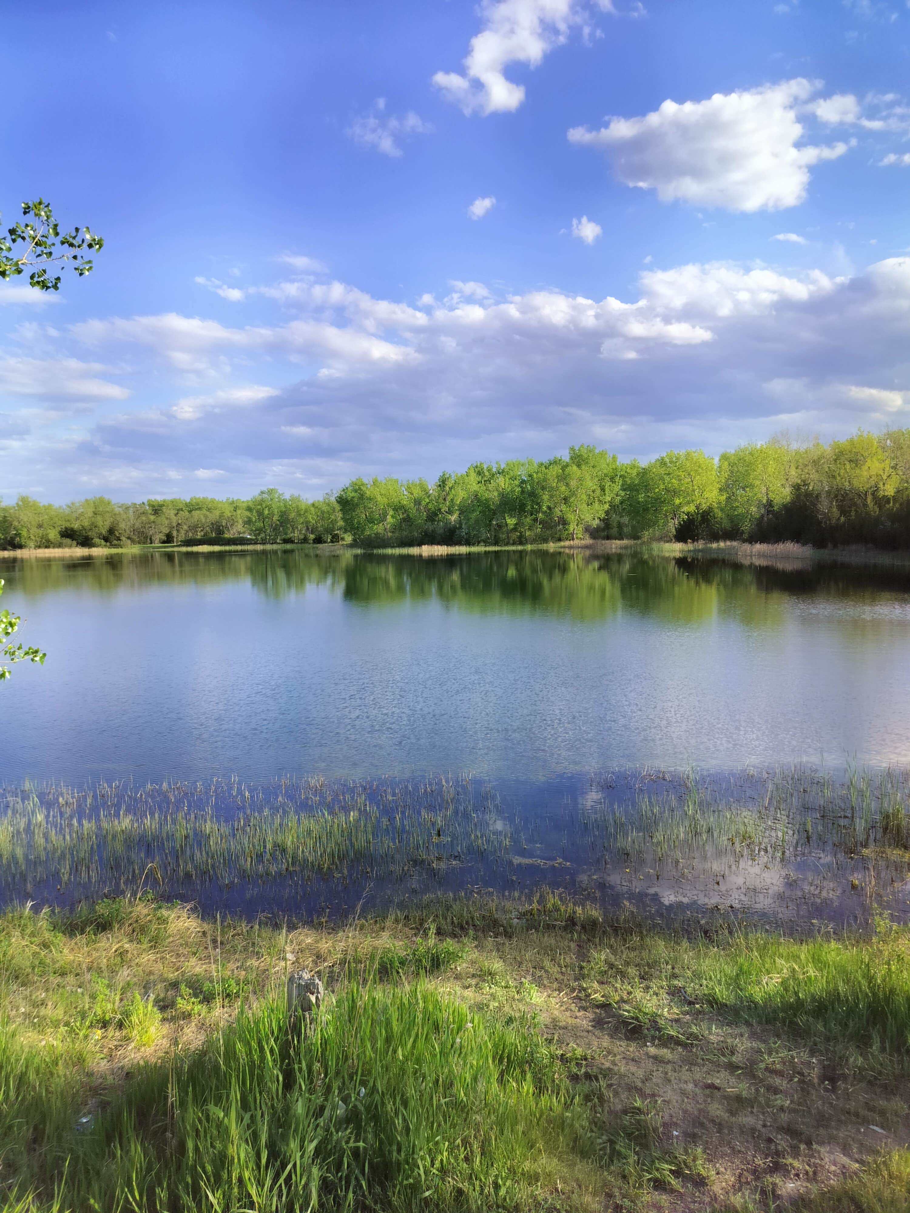 Camper-submitted photo at Coot Shallows WMA near Kearney, NE