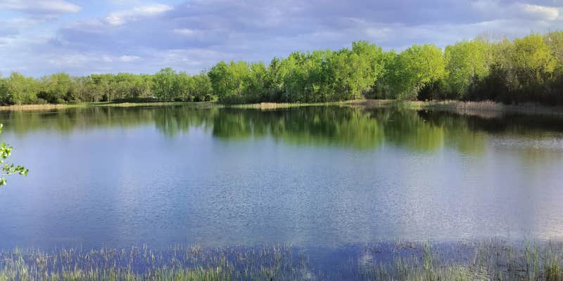 Camper submitted image from Coot Shallows WMA