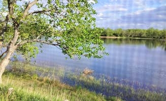 Gabriel H.'s photo of a dispersed camping area at Coot Shallows WMA near Alma, NE