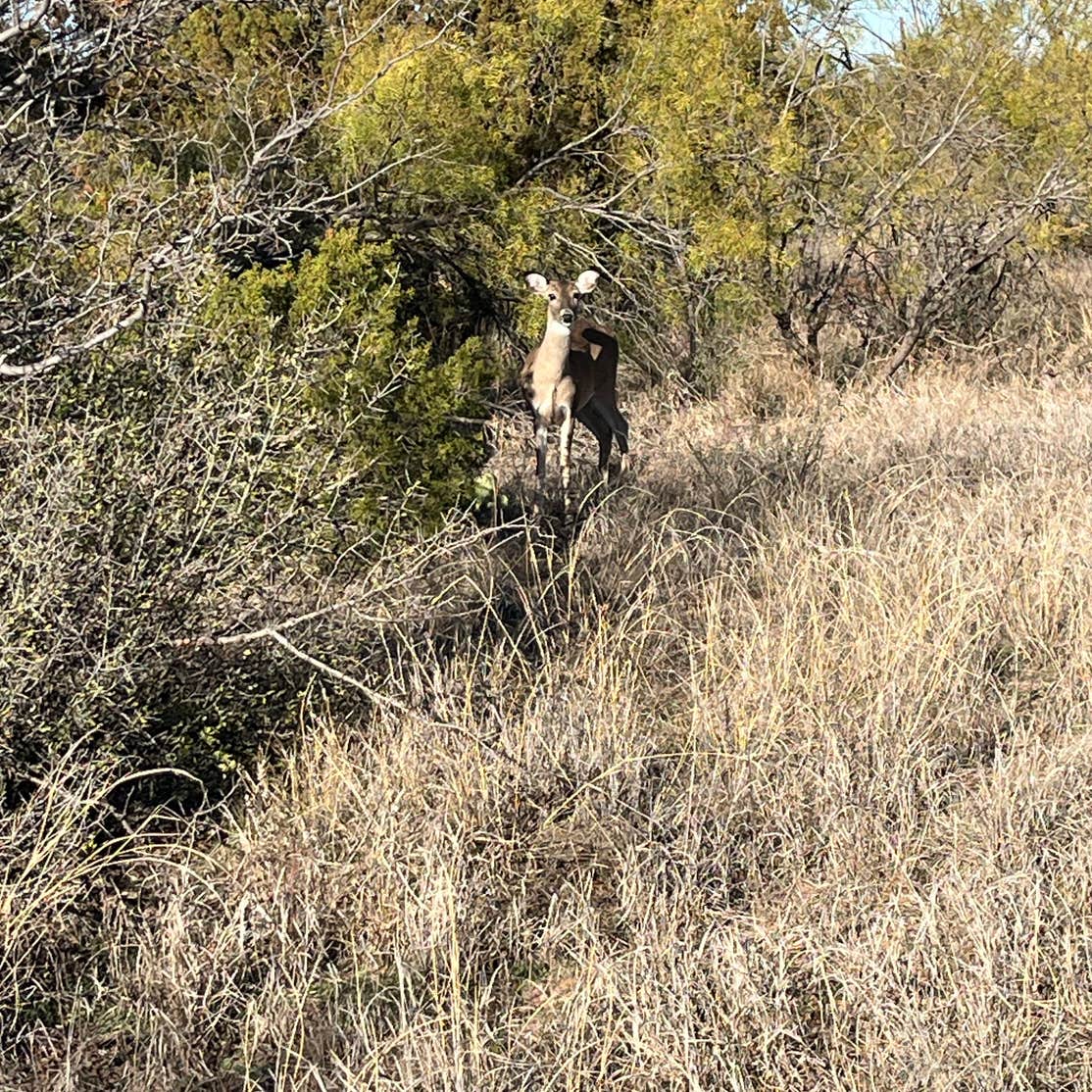 Copper Breaks State Park Campground Quanah, TX