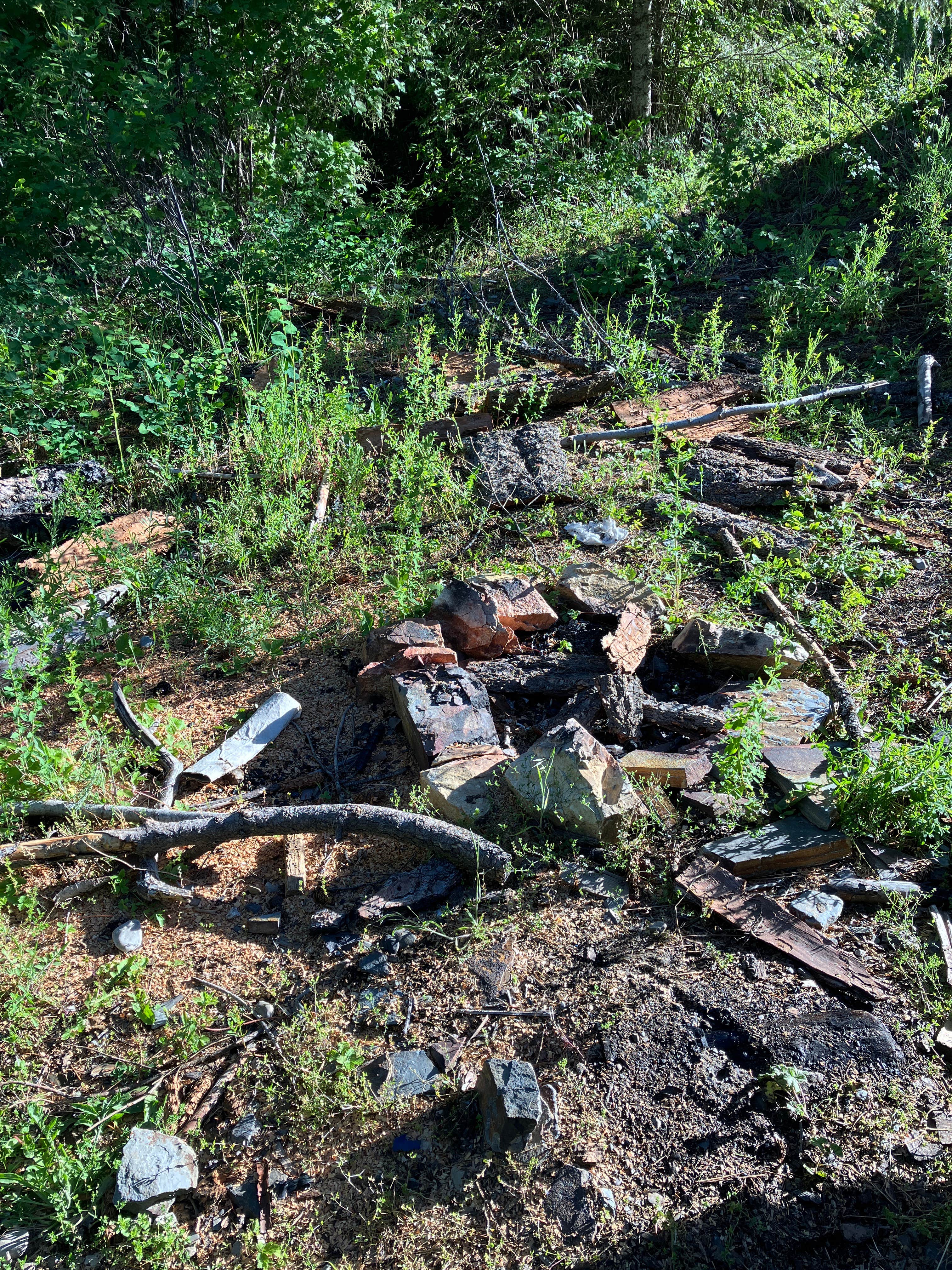 Camper-submitted photo at copper mountain rd dispersed near Lake Pend Oreille