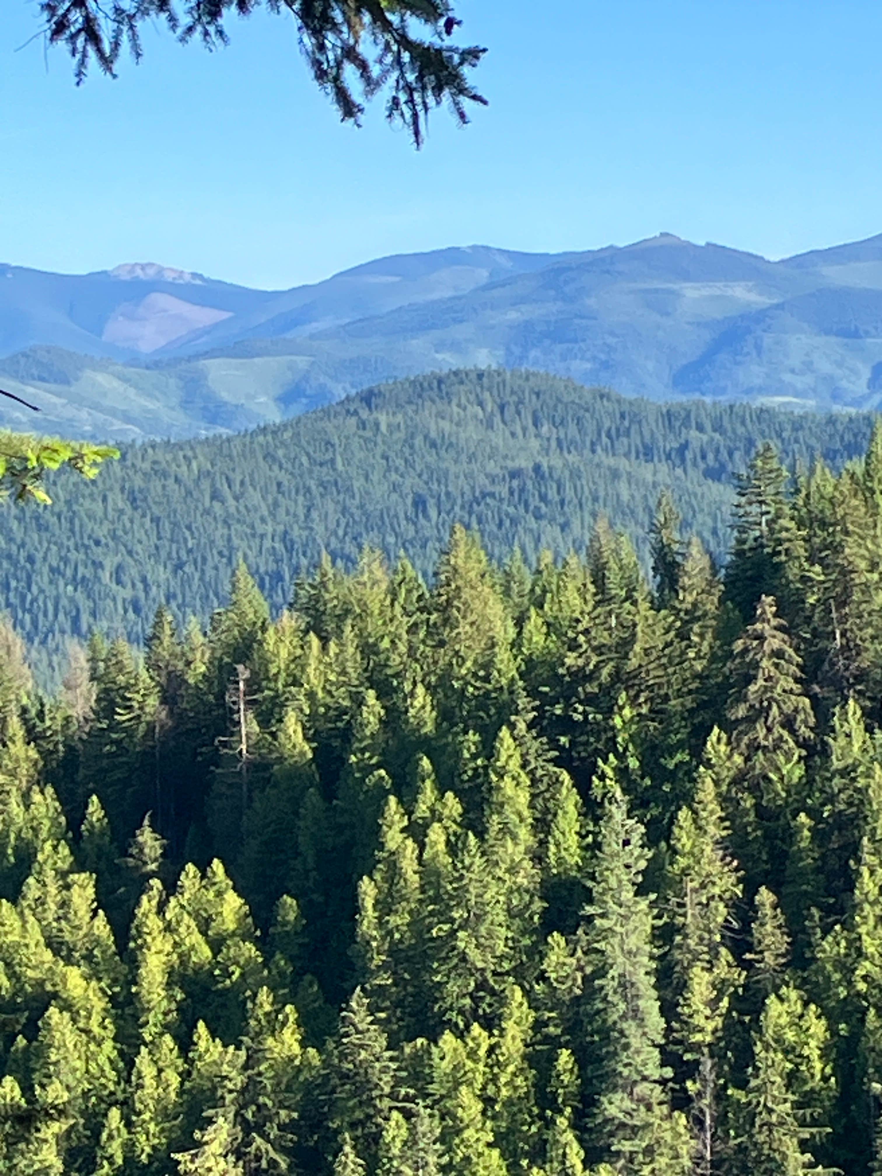 Camper-submitted photo at copper mountain rd dispersed near Lake Pend Oreille