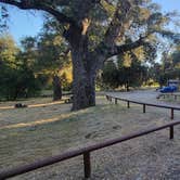 Review photo of Corral Canyon Campground by Andrew C., May 12, 2024