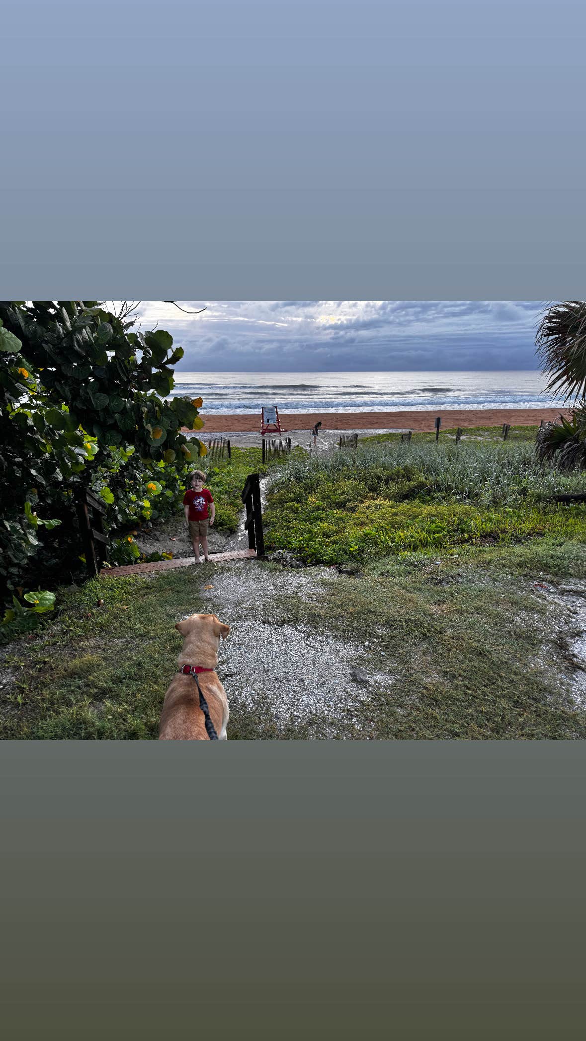 Cody N.'s photo of camping with pets at Coral Sands RV Resort near Ormond Beach, FL