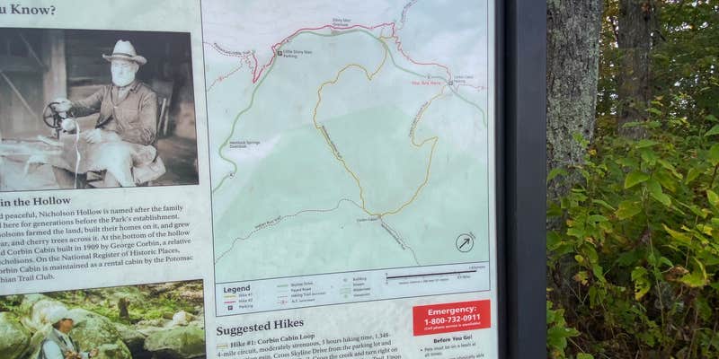 Camper submitted image from Corbin Cabin