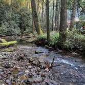 Review photo of Corbin Creek Tray Mountain by Rebecca M., September 1, 2025