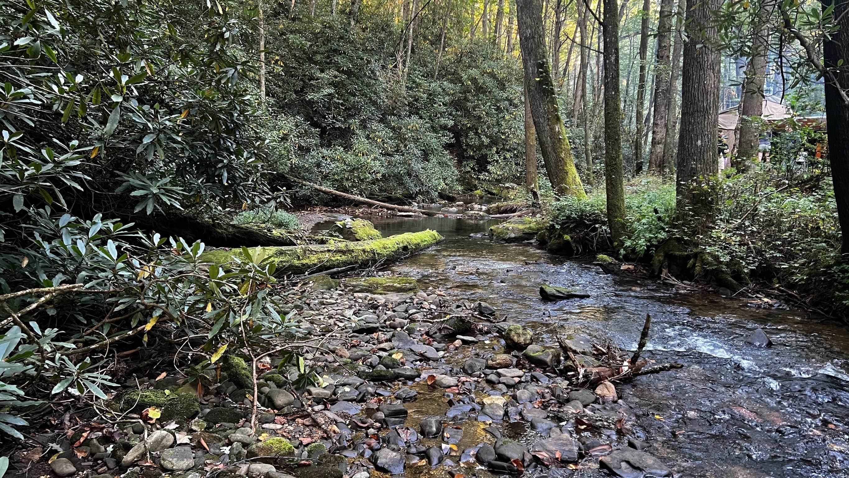 Camper submitted image from Corbin Creek Tray Mountain - 2